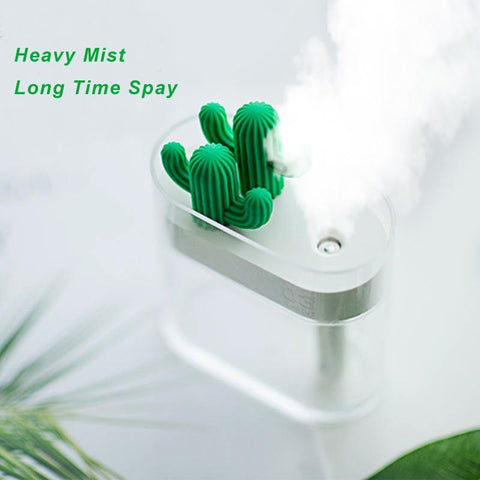 Modern Cactus Humidifier