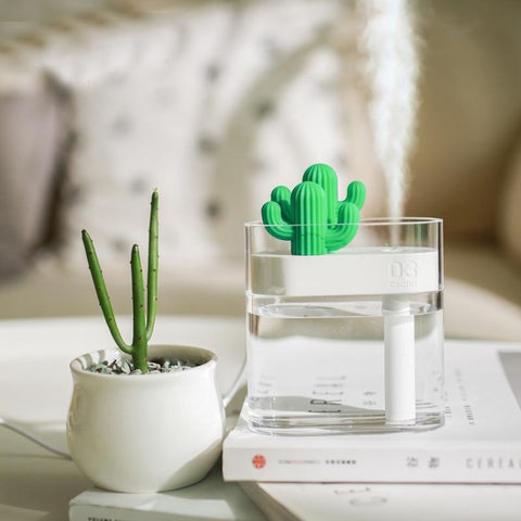 Modern Cactus Humidifier