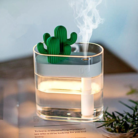 Modern Cactus Humidifier