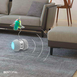 LED Wheel Smart Electronic Cat Toy Car