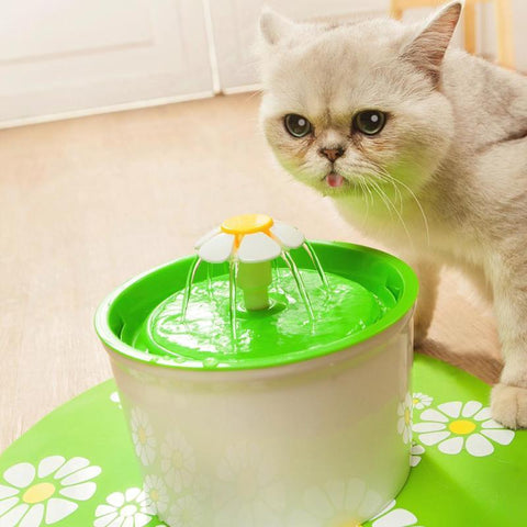 Kitty Fountain