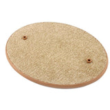 Kitty Arch Scratcher