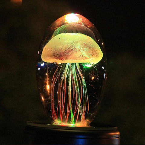 Jellyfish Light