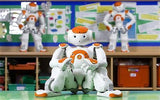 Smart Robot Lawrence Special Deal (Free Shipping)