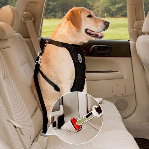 Dog Car Harness
