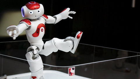 Smart Robot Lawrence Special Deal (Free Shipping)