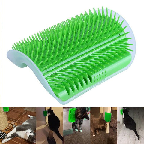 Cats Brush Corner