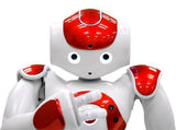 Smart Robot Lawrence Special Deal (Free Shipping)