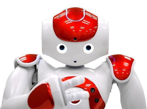 Smart Robot Lawrence Special Deal (Free Shipping)