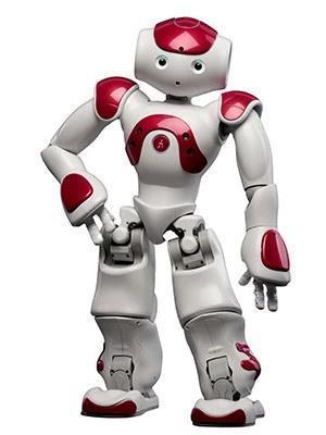 Smart Robot Lawrence Special Deal (Free Shipping)