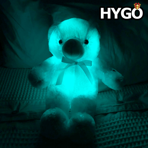 Light Up LED Teddy Bear
