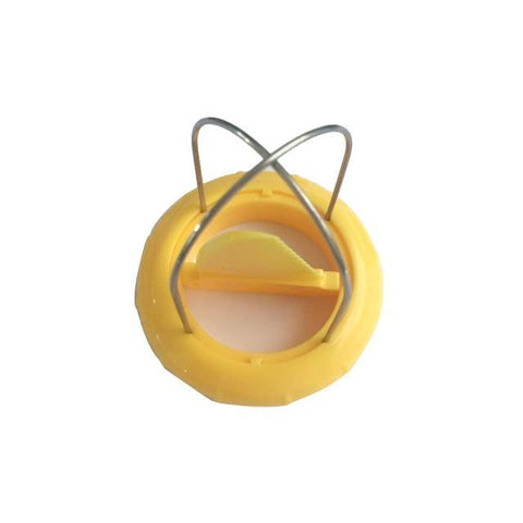 Kiwi Cutter