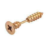 Stud Screw Earring