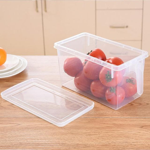 Transparent Food Storage